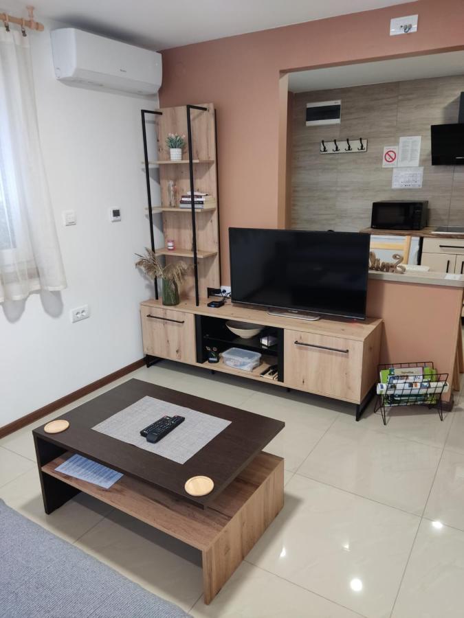 Apartmani Sladjana Novi Sad Ngoại thất bức ảnh